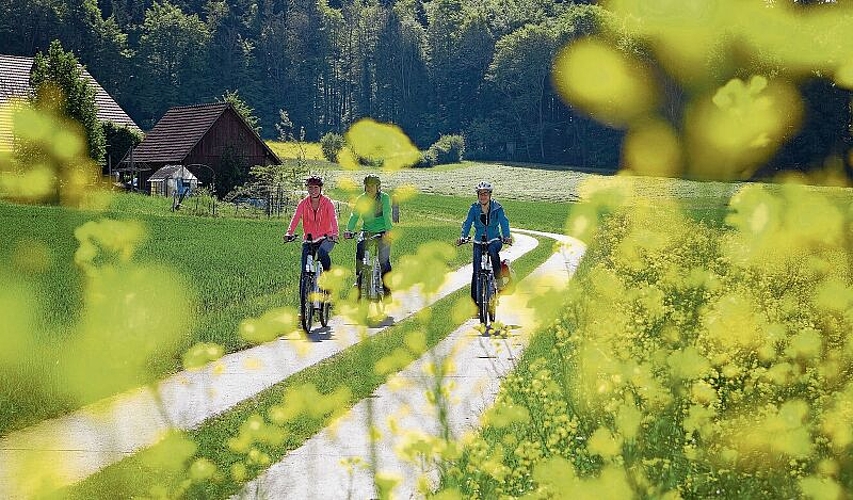 Unterwegs auf passenden Wegen in idyllischer Landschaft: E-Bike-Fahrer auf dem Ostast der vor fünf Jahren gestarteten Herzschlaufe Seetal. Foto: Seetal Tourismus
