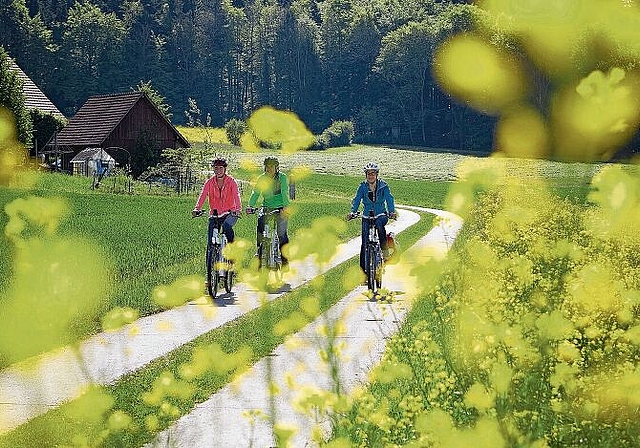 Unterwegs auf passenden Wegen in idyllischer Landschaft: E-Bike-Fahrer auf dem Ostast der vor fünf Jahren gestarteten Herzschlaufe Seetal. Foto: Seetal Tourismus
