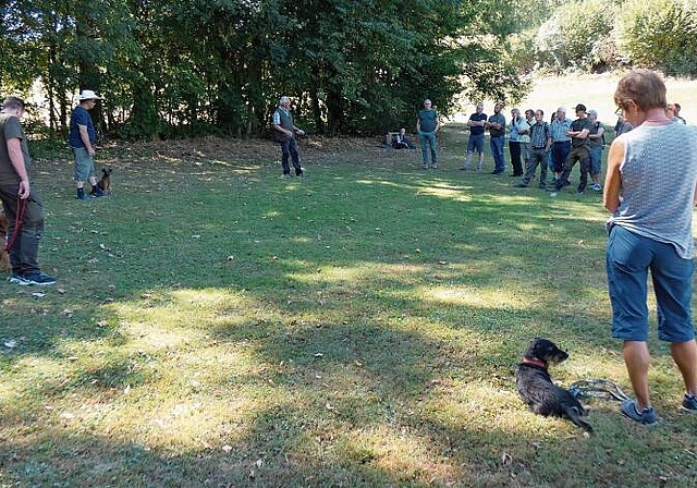 Sich mit dem Hund vertraut machen: Praxisseminar für Stöberhunde des Verbandes JagdAargau in Dürrenäsch. Foto: Pia Weber