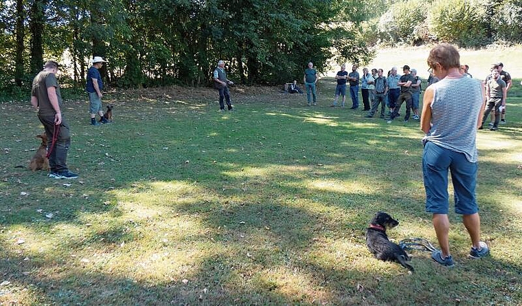 Sich mit dem Hund vertraut machen: Praxisseminar für Stöberhunde des Verbandes JagdAargau in Dürrenäsch. Foto: Pia Weber