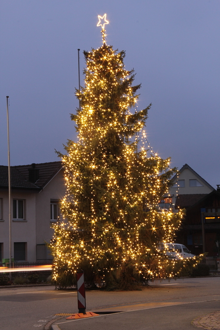 Prächtig: 1500 Laufmeter Lichterketten. Foto: Alfred Gassmann