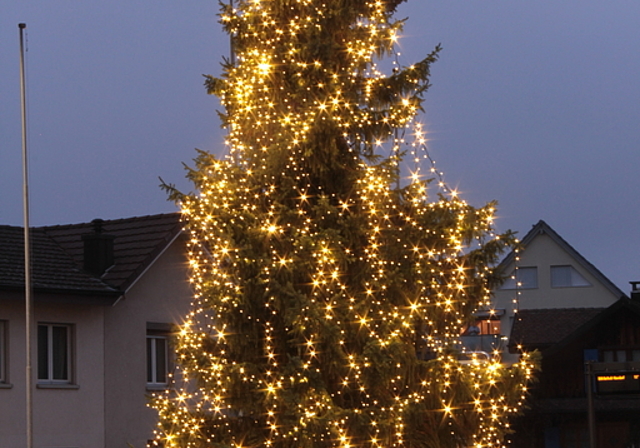 Prächtig: 1500 Laufmeter Lichterketten. Foto: Alfred Gassmann