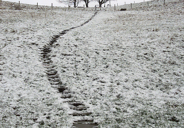 Die Stufen sind glitschig: «Himmelsleiterli» auf den Lenzburger Goffersberg. Foto: Alois Felber