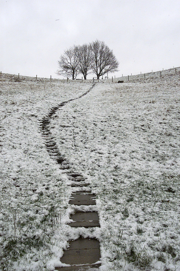 Die Stufen sind glitschig: «Himmelsleiterli» auf den Lenzburger Goffersberg. Foto: Alois Felber