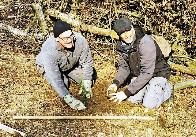 «Dem Wald etwas zurückgeben»: Die Firmengründer Reinhard Wiederkehr und Peter Makiol pflanzen eine Zeder. Foto: Fritz Thut