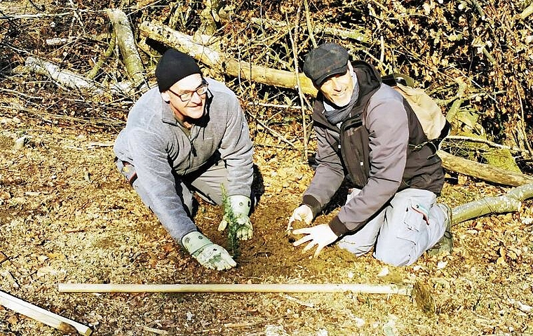 «Dem Wald etwas zurückgeben»: Die Firmengründer Reinhard Wiederkehr und Peter Makiol pflanzen eine Zeder. Foto: Fritz Thut