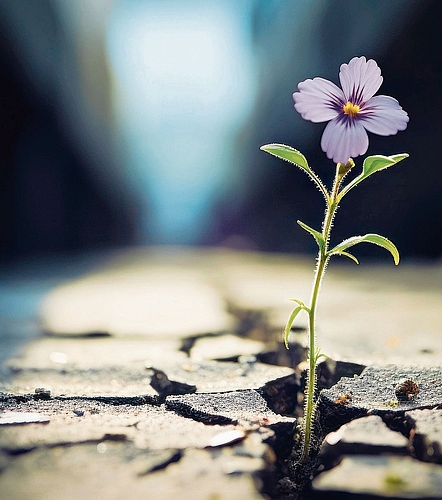 Illustration: zvg Illustration: zvg