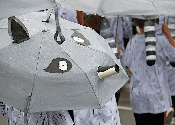 Schirme auf: Die «Waschbären» blieben trotz Regen trocken.Foto: Romi Schmid