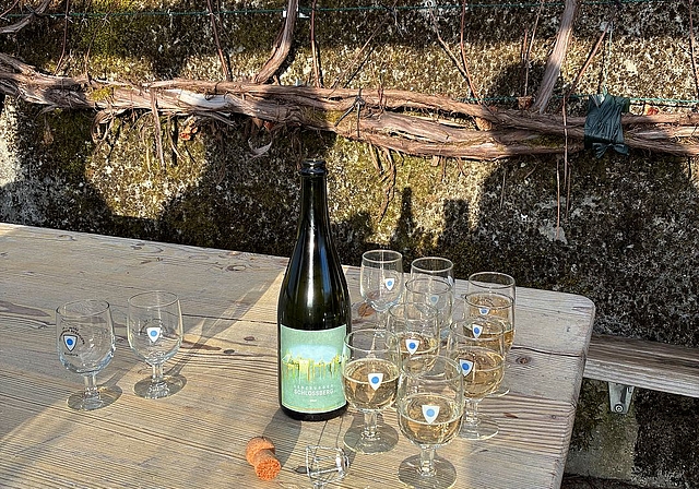 «Das Blut der Erde», wie Udo Jürgens einen Wein besang, kommt nicht nur aus Griechenland, sondern auch vom Lenzburger Schlossberg. An der vergangenen Generalversammlung der Ortsbürger Rebbauern-Vereinigung wurde über die Zukunft des Vereins ents