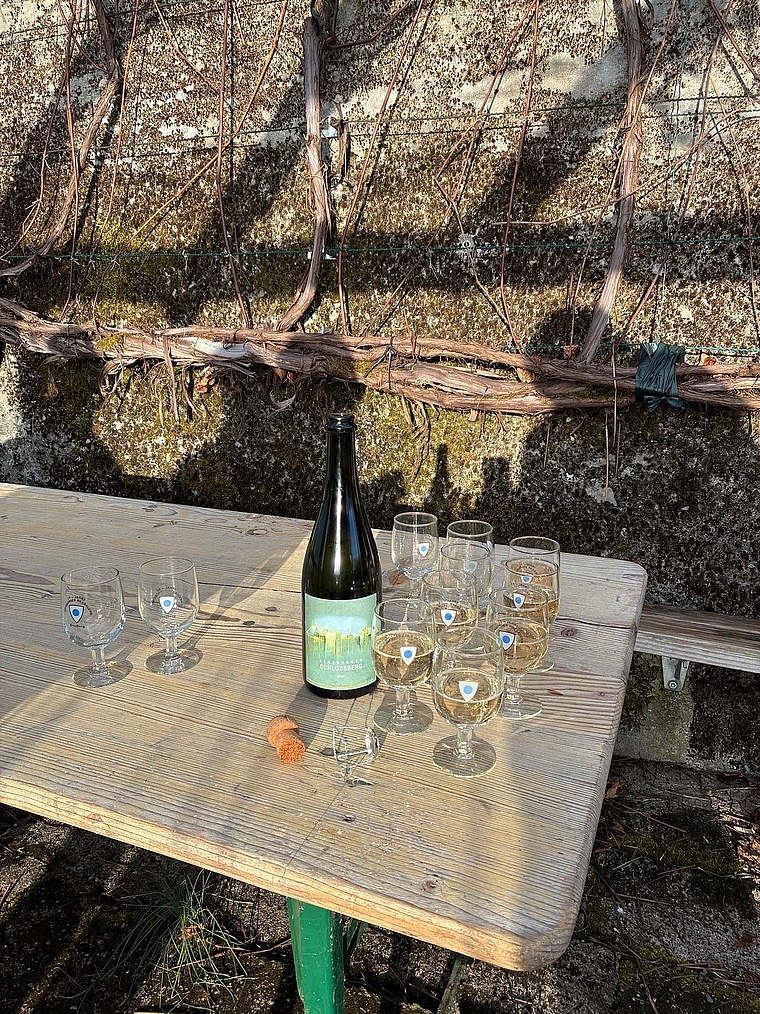 «Das Blut der Erde», wie Udo Jürgens einen Wein besang, kommt nicht nur aus Griechenland, sondern auch vom Lenzburger Schlossberg. An der vergangenen Generalversammlung der Ortsbürger Rebbauern-Vereinigung wurde über die Zukunft des Vereins ents