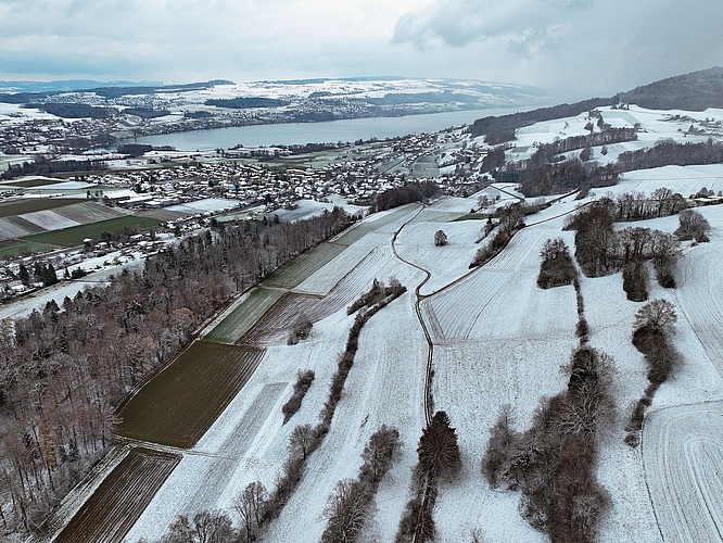 Winter: Der Schnee bedeckt die Felder und über die Landschaft legt sich eine sanfte Winterruhe.Foto: Andreas Walker