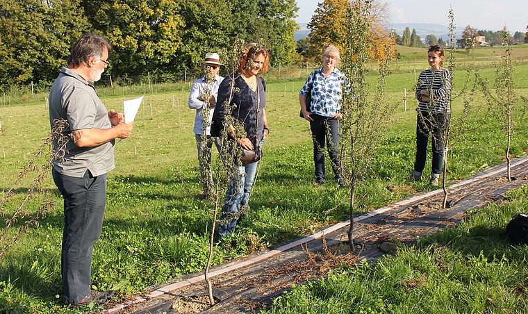 Im Wannenmoos Hallwil: Projektleiter Victor Condrau (links) erläutert das ehrgeizige Vorhaben. Foto: Alfred Gassmann