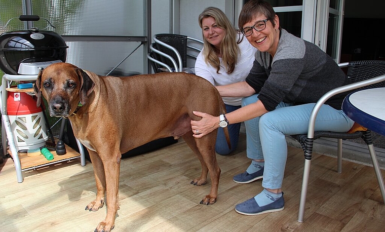 <em>Djuma fühlt sich wieder pudelwohl:</em> Die Therapie der Tierheilpraktikerin Isabel Steinhauser (vorne) war bisher erfolgreich. Foto: Carolin Frei