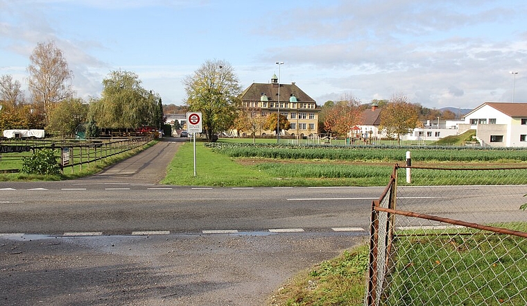 <em>Gefährliche Querung soll eliminiert werden:</em> Der Kornweg soll neu unter der Dottikerstrasse hindurchführen. Foto: Alfred Gassmann