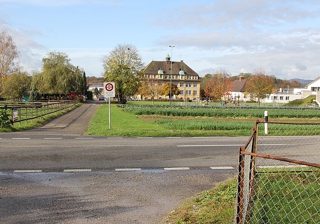 <em>Gefährliche Querung soll eliminiert werden:</em> Der Kornweg soll neu unter der Dottikerstrasse hindurchführen. Foto: Alfred Gassmann