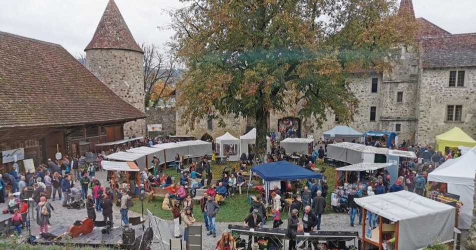 Schloss Hallwyl hat es mit seinem Charme einmal mehr geschafft, Scharen von Besuchern anzulocken.Foto: Verena Schmidtke