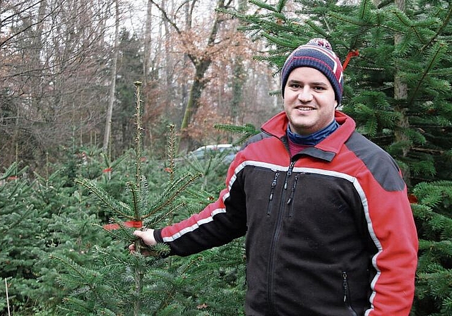 Für ihn gehört ein Christbaum zu Weihnachten zum festen Ritual: Förster Andreas Wirth. Foto: Romi Schmid
