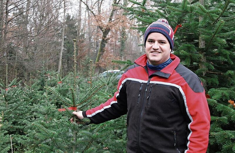 Für ihn gehört ein Christbaum zu Weihnachten zum festen Ritual: Förster Andreas Wirth. Foto: Romi Schmid
