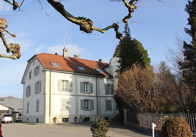 <em>Soll gemäss Gestaltungsplan ausgelichtet werden:</em> Baumbestand im Park, der die Villa Fischer verdeckt.Foto: Alfred Gassmann
