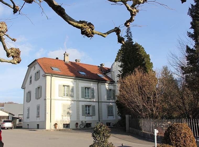 <em>Soll gemäss Gestaltungsplan ausgelichtet werden:</em> Baumbestand im Park, der die Villa Fischer verdeckt.Foto: Alfred Gassmann