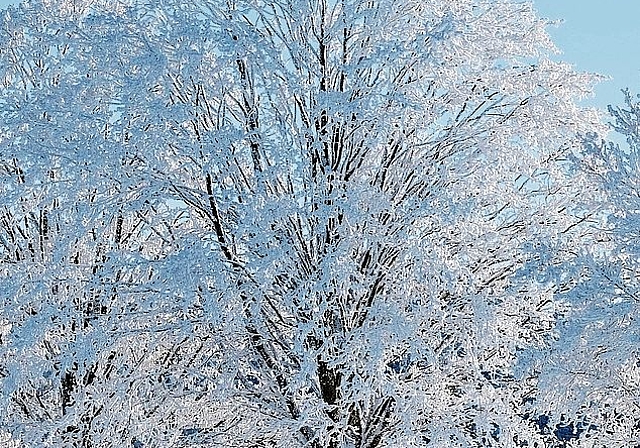 Zur Ruhe kommen. Foto: pixabay