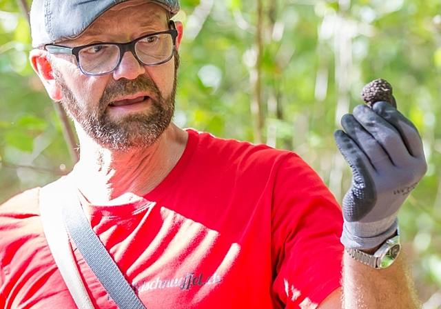 <em>«Wer Trüffel finden möchte, muss die Natur und ihre Pflanzen kennen»</em>: Trüffelexperte Pius Bodenmann mit einem Trüffel. Foto: Fabio Baranzini