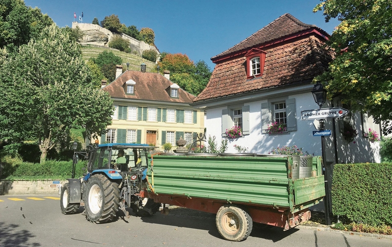 Brigitte Vogel führte das Traubengut vom Rebberg am Schlosshang, der zum Burghalden-Ensemble gehört, nach Seengen zur Kelterung.Foto:  zvg