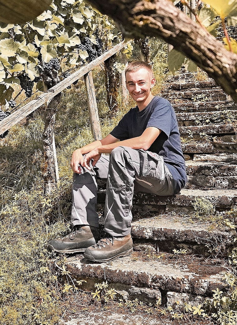 Ist in den Reben in seinem Element: Severin Furer.Foto: Romi Schmid 