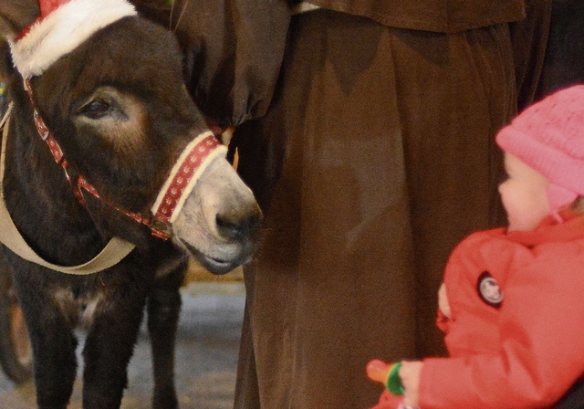 So ein Eseli entzückt Klein und Gross gleichermassen. Foto: zvg