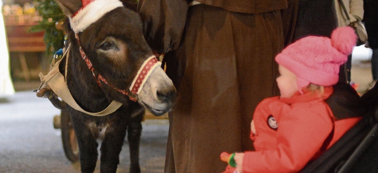 So ein Eseli entzückt Klein und Gross gleichermassen. Foto: zvg