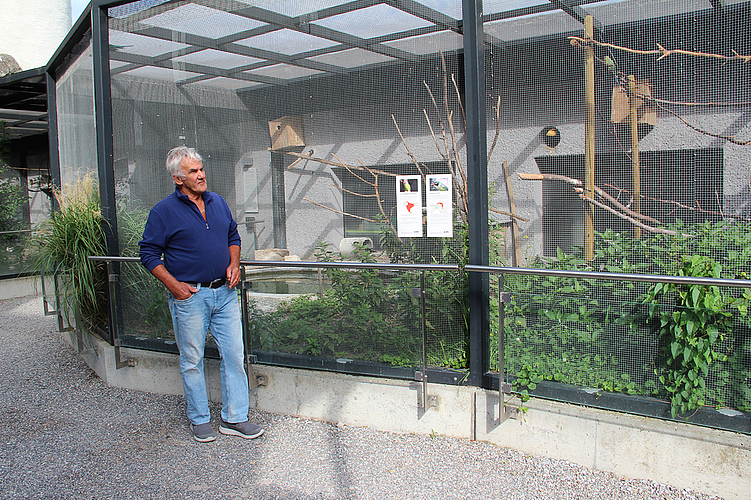 Die Kündigung ist für ihn mit vielen Fragezeichen verbunden: Heinz Frei betreute die Voliere während acht Jahren. Foto: Carolin Frei
