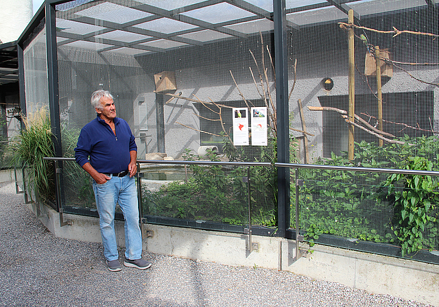 Die Kündigung ist für ihn mit vielen Fragezeichen verbunden: Heinz Frei betreute die Voliere während acht Jahren. Foto: Carolin Frei
