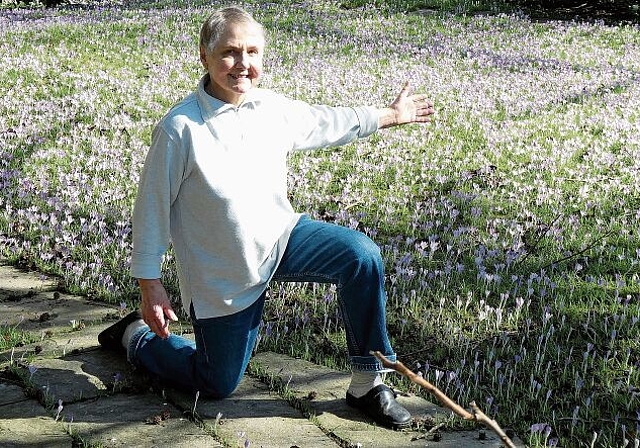 Im letzten halben Jahrhundert entstanden: Sonja Baumann zeigt auf ihr Werk, die Wiese mit Tausenden von Krokussen. Foto: Andreas Walker