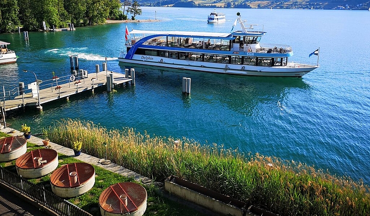 <em>Brachte zufriedene Teilnehmer der GV der Schifffahrtsgesellschaft Hallwilersee zum Nachtessen:</em> Die neue «MS Delphin» vor dem Seehotel Delphin. Foto: Fritz Thut