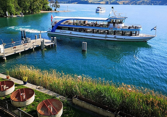 <em>Brachte zufriedene Teilnehmer der GV der Schifffahrtsgesellschaft Hallwilersee zum Nachtessen:</em> Die neue «MS Delphin» vor dem Seehotel Delphin. Foto: Fritz Thut
