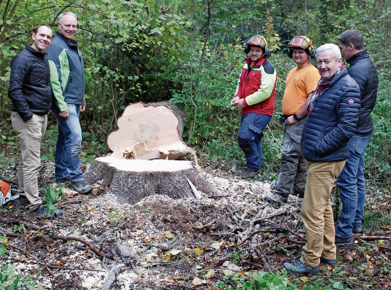 Die Fällung wurde gestartet (von links): David Zimmerli, Erich Hediger, Förster Andreas Wirth, Forstmitarbeiter Simeon Mühlefluh, Ruedi Hediger und Bauleiter David Santschi.Foto: zvg