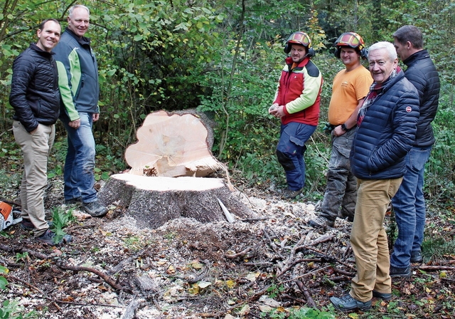 Die Fällung wurde gestartet (von links): David Zimmerli, Erich Hediger, Förster Andreas Wirth, Forstmitarbeiter Simeon Mühlefluh, Ruedi Hediger und Bauleiter David Santschi.Foto: zvg