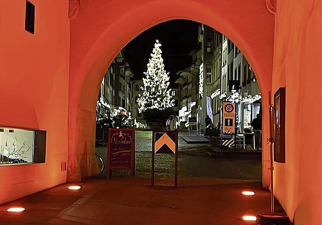 Die Soroptimistinnen Lenzburg wollen ein Zeichen gegen Gewalt an Frauen setzen.Foto: zvg