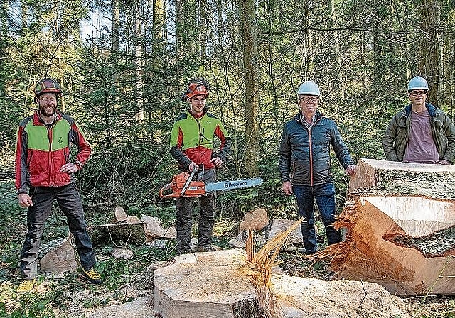 Erste Weisstanne für Schulhausneubau gefällt: Forstdienstleiter Peter Schenkel, Forstwart Fabio Peterhans, Gemeindeammann Herbert Anderegg und Architekt Beat Buri. Foto: Peter Winkelmann