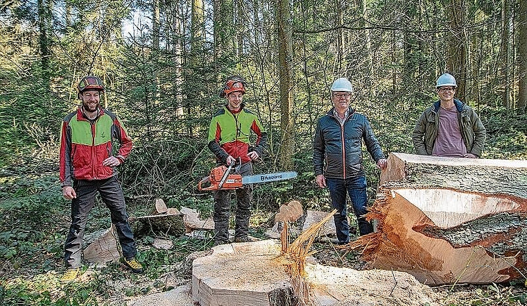 Erste Weisstanne für Schulhausneubau gefällt: Forstdienstleiter Peter Schenkel, Forstwart Fabio Peterhans, Gemeindeammann Herbert Anderegg und Architekt Beat Buri. Foto: Peter Winkelmann