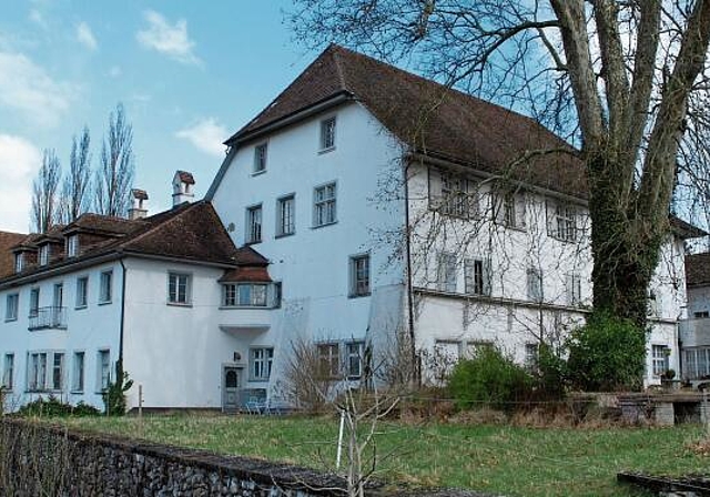 Soll aus dem Dornröschenschlaf befreit werden, aber wie? Zum Schloss Brestenberg in Seengen fand ein Informationsanlass statt. Archivfoto: Toni Widmer
