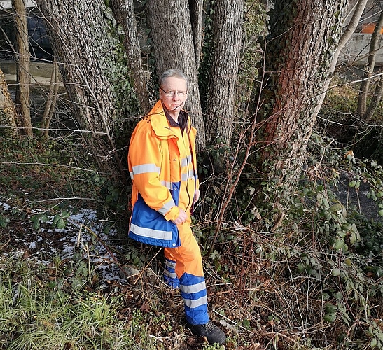 <em>Müssen aus Sicherheitsgründen abgeholzt werden:</em> Kranke Erlen am Aabach-Ufer mit Peter Ulmann vom Werkhof. Foto: Fritz Thut <em>Müssen aus Sicherheitsgründen abgeholzt werden:</em> Kranke Erlen am Aabach-Ufer mit Peter Ulmann vom Werkhof. Foto: Fritz Thut