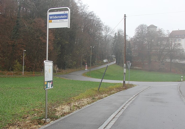 <em>Einig über Parkplatzfrage: </em>Der neue Parkplatz für Schloss Wildenstein kommt zwischen Bushaltestelle und Wald zu liegen.<em> Foto: AG</em>