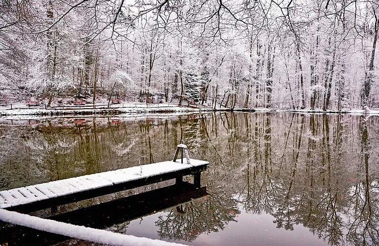 1. Preis: Fünfweiher im Winter von El Abbas Dekkiche aus Lenzburg.
