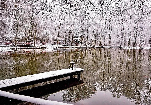 1. Preis: Fünfweiher im Winter von El Abbas Dekkiche aus Lenzburg.
