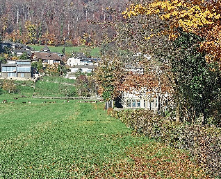 Ein Streifen Wiese wird zur Baustelle:  Entlang der Hecke wird das Klausenbächli geöffnet und ein Parkplatz gebaut. Foto: Alfred Gassmann