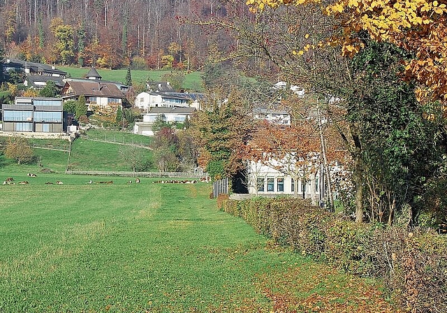 Ein Streifen Wiese wird zur Baustelle:  Entlang der Hecke wird das Klausenbächli geöffnet und ein Parkplatz gebaut. Foto: Alfred Gassmann