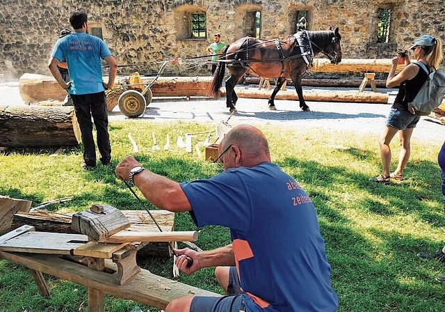 Vorarbeiten für das «Erlebnis Mittelalter»: Das Arbeitspferd «Mo» Moretti schleift ganze Stämme in den Hof von Schloss Hallwyl. Foto: Fritz Thut