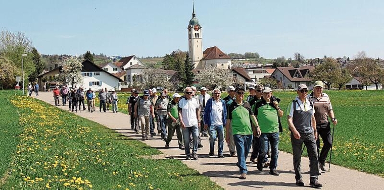 Labsal für Körper und Geist: Turnveteranen wandern in Seengen in den Frühling hinein. Foto: Alfred Gassmann