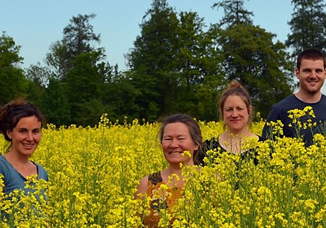 <em>Mitten im blühenden Rapsfeld: </em>Die Betriebsgruppe von Solidarische Landwirtschaft Lenzburg mit Andrea, Lukas, Marion, Regula, Marie-Laure, Simeon und Marco. Foto: zvg